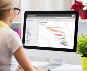 Introduction to Project Management 2023-11