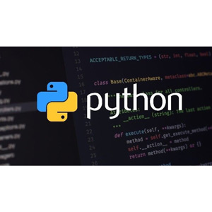 Udemy — Python Course – Beginner to Master 2025-1