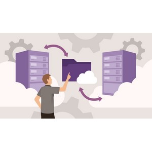 Windows Server 2025: DHCP and DNS 2024-11