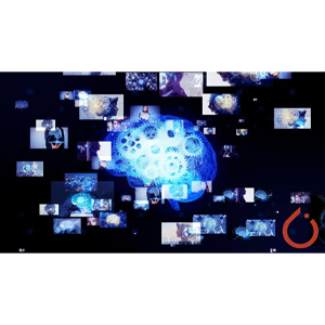 PyTorch Ultimate 2024: From Basics to Cutting-Edge 2024-9