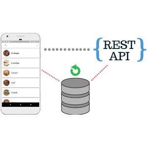 CodingWithMitch – Local Database Cache with REST API 2021-12