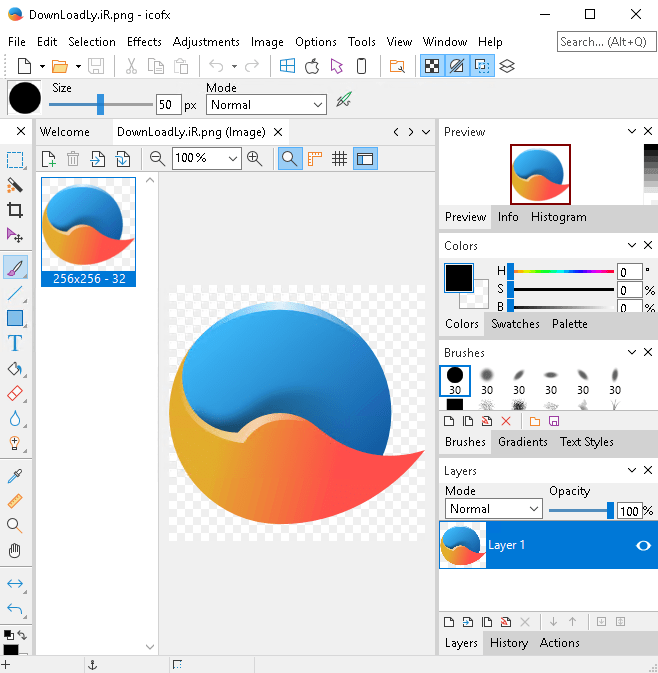 Pictures · IcoFX 3.9.0 All Editions