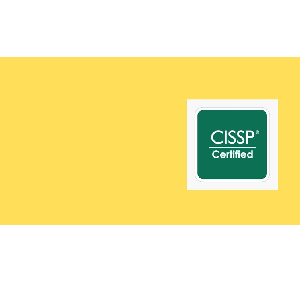 CISSP : Domain 2 : Asset Security – Learn 2024 2024-5