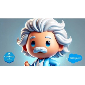 Udemy — 2024 Salesforce AI Associate Certification & Practice Tests 2024-10
