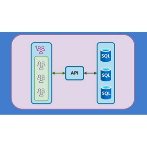 Udemy — Advanced .NET Web API: Multi-Tenant Applications (NEW) 2025-1
