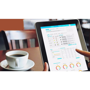 Udemy — Crystal Reports for SAP Business One Mastery Training Course 2016-1