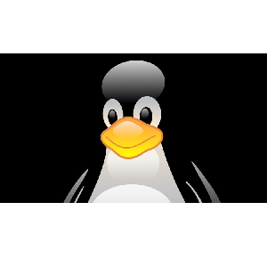 Udemy — Linux Administration 1 2023-8