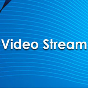 Winsoft Video Stream v1.6 for Delphi10.1-11