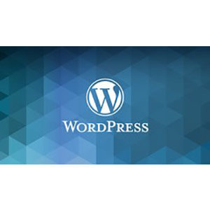 Udemy — The Complete WordPress Website Business Course 2020-5