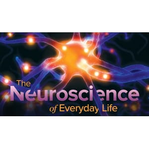 The Great Courses — Neuroscience of Everyday Life 2020-1