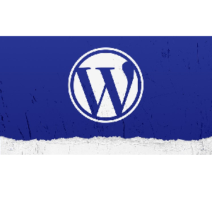 Udemy — WordPress as a NoCode Tool for Beginners 2024-5