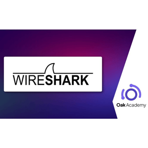Wireshark - تحليل حركة المرور الشبكية و دورة التقاط الحزمة 2025-3