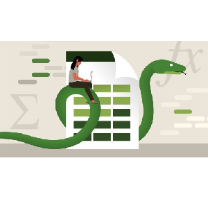 LinkedIn — Using Python with Excel 2023-8