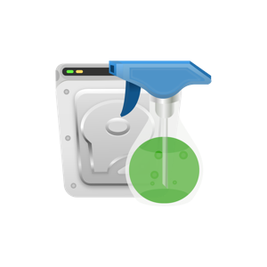 Disque de nettoyage 11.3.2.852