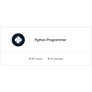 Datacamp — Python Programmer 2023-8