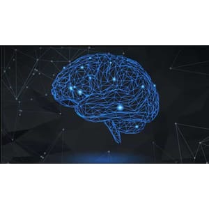Udemy — Neuroplasticity Masterclass: Unleash The Power Of Your Brain 2025-4