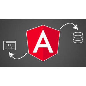 Angular (Full App) with Angular Material, Angularfire & NgRx 2024-6