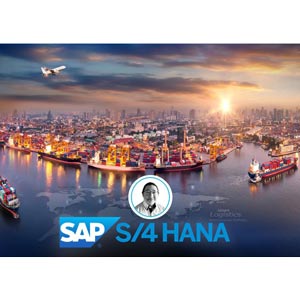 Udemy — Learn SAP S/4 HANA Transportation Management, Step by Step 2024-1