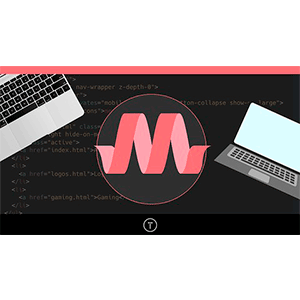 Udemy — Materialize CSS From Scratch With 5 Projects 2018-2