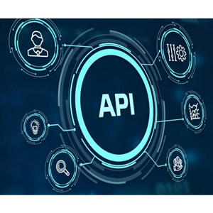 Ethical Hacking of RESTful and GraphQL APIs Training Course 2024-12