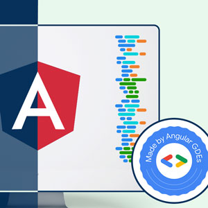 Decoded Frontend — Angular Material Theming Course (In-Depth) 2023-12