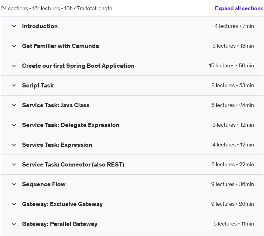 Course topics · Learn Camunda BPMN, DMN with Spring Boot 2024-5