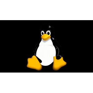 Udemy — Linux Essentials to Expert: A Complete Masterclass 2024-11