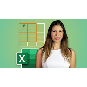 Udemy — Master NEW Excel Functions in Office 365 & Office 2021 2024-12