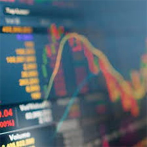 Especialización en Investigación y Gestión de Portfolio 2026-2