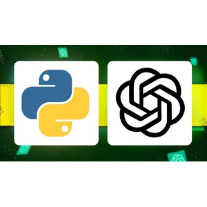 Python Programming for Beginners with ChatGPT 2024-8