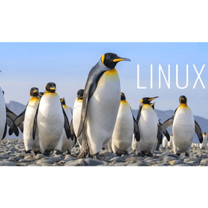 Udemy — The complete Linux course you need to land a job in IT 2025-9