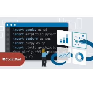 Python for Data Analysis: Solve Real-World Challenges 2024-5