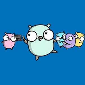 Udemy — Web Authentication With Golang – Google’s Go Language 2025-3
