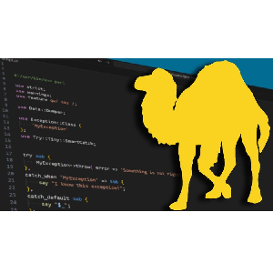 Udemy — Perl Programming: Understanding The Basics [2024] 2024-6