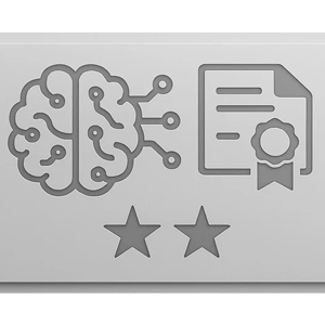 AI Инженер ассоциированный сертификат курс 2025-6