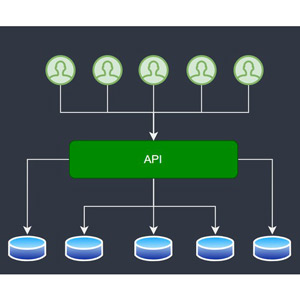 Udemy — Advanced .NET Web API: Multi-Tenant Applications(OLD COURSE) 2024-12