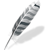 WING IDE PRO 12.0.1.0 Windows/Linux/macOS