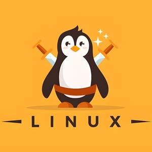 Udemy — Master Linux: Boost Your IT Career! 2024-6