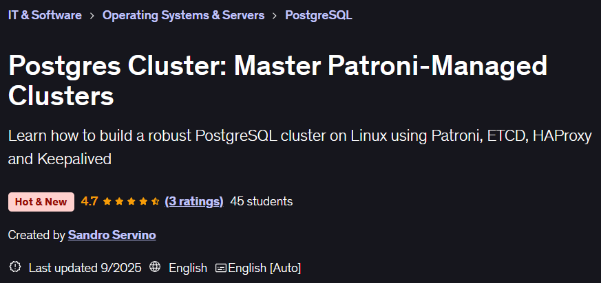 Pictures · Postgres Cluster: Master Patroni-Managed Clusters 2025-7
