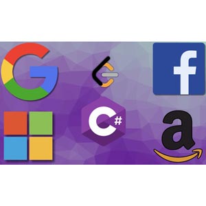 Leetcode in C# : Algorithms Coding Interview Questions 2023-12