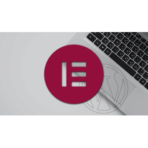 Udemy — The Complete Elementor Course for WordPress 2023-11