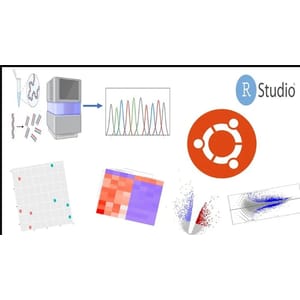 Bioinformatic; Scratch에서 대량 RNA-Seq 데이터 분석을 배우십시오 2025-5