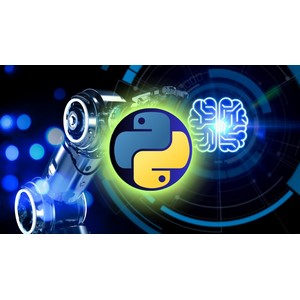 Udemy — Hands-On Python Machine Learning with Real World Projects 2024-9