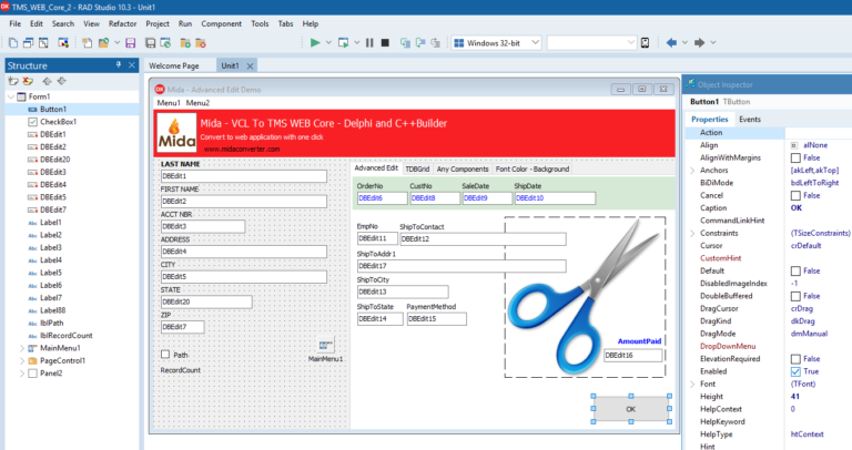 Pictures · MIDA Converter Basic for RAD Studio 10.3.2 Rio