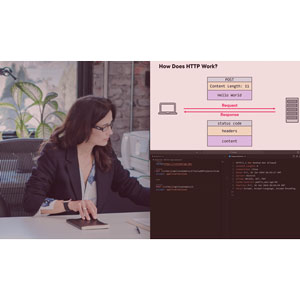 Pluralsight — Designing RESTful Web APIs 2024-3