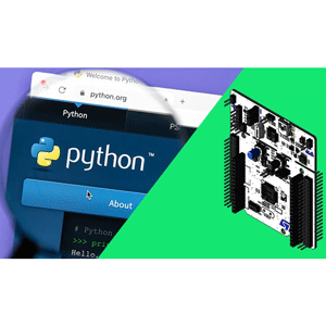 Embedded MicroPython from Ground Up™ 2022-9