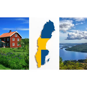 Udemy — Learn Swedish listening comprehension, grammar and exercises 2024-3