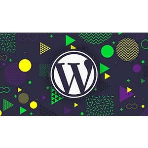The Complete Guide to Building Premium WordPress Themes 2021-2
