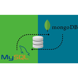 Udemy — Practical Database Guide with RDBMS (MySQL) & NoSQL (MongoDB) 2022-2