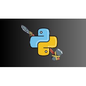 最终 Python 生存指南:掌握基础 2025-5